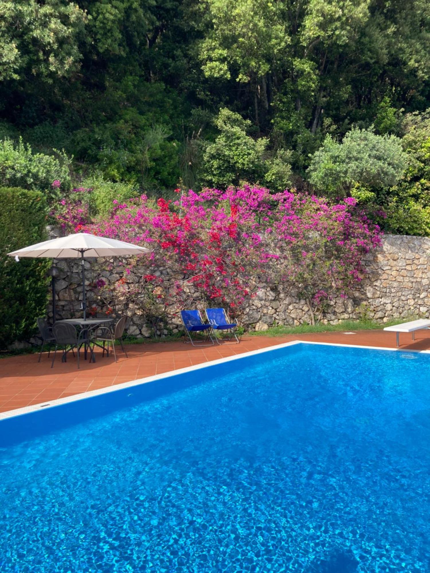 Il Casalino Apartment Maratea Luaran gambar