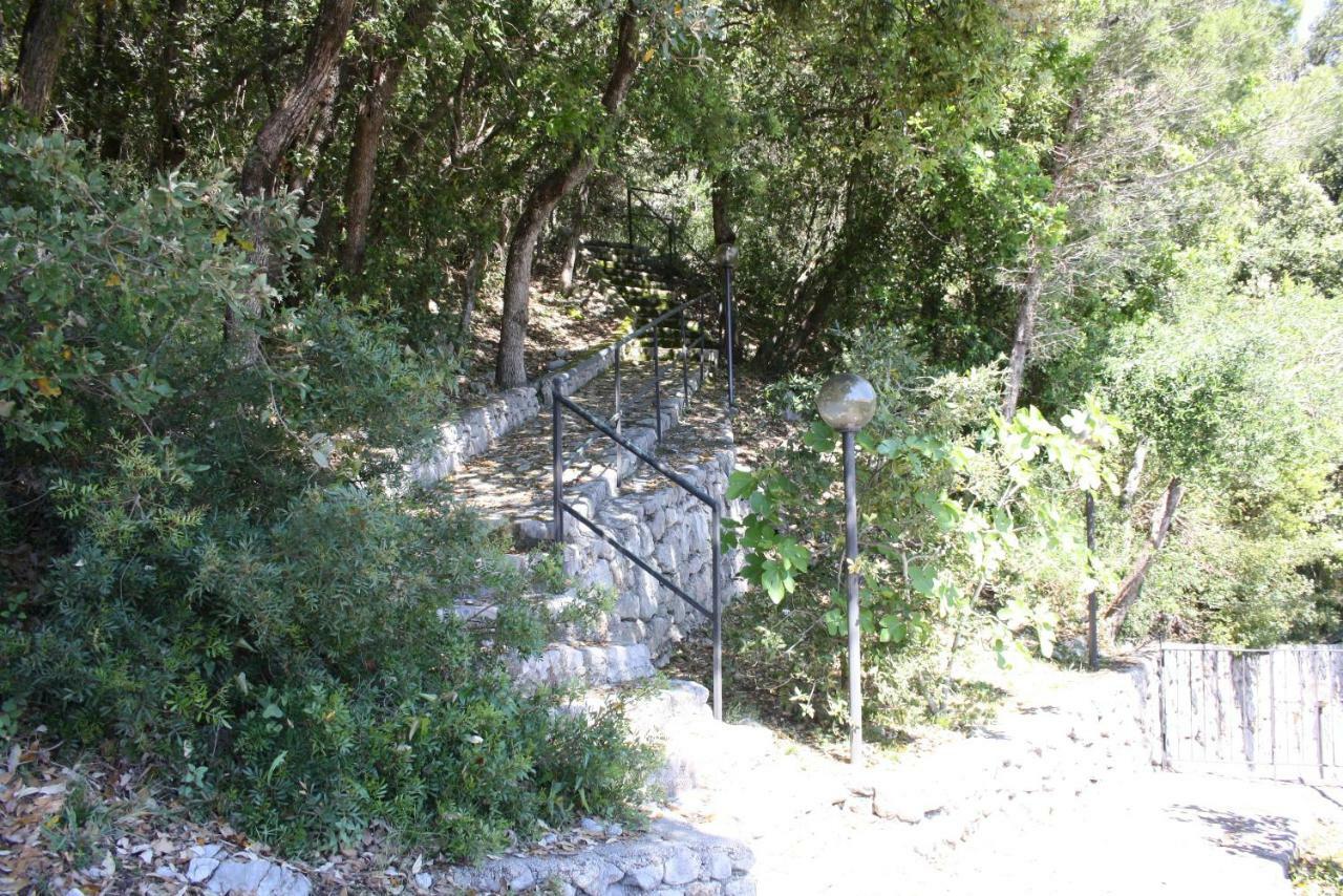 Il Casalino Apartment Maratea Luaran gambar